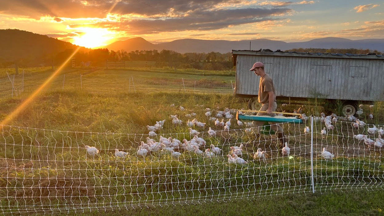 Rucker Farm photo 11
