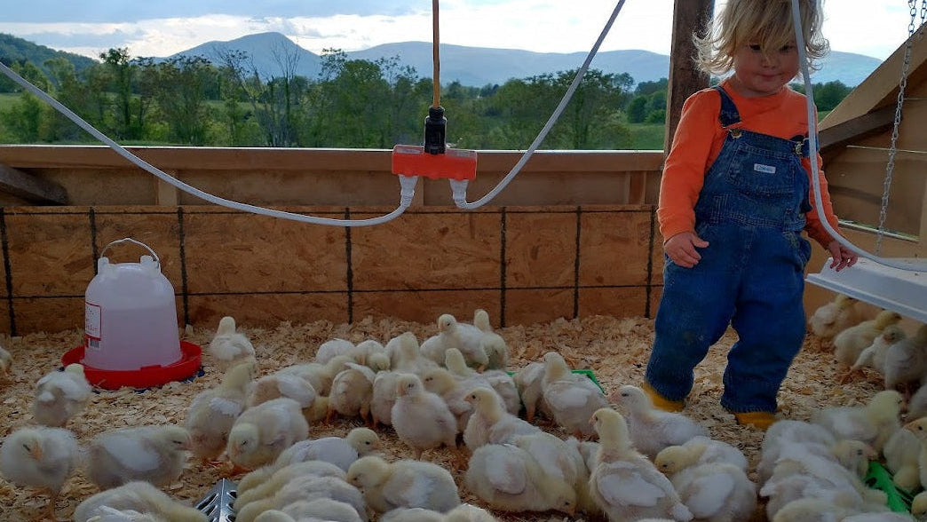 Rucker Farm photo 2