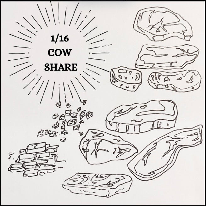 1/16 Cow Share (Deposit)